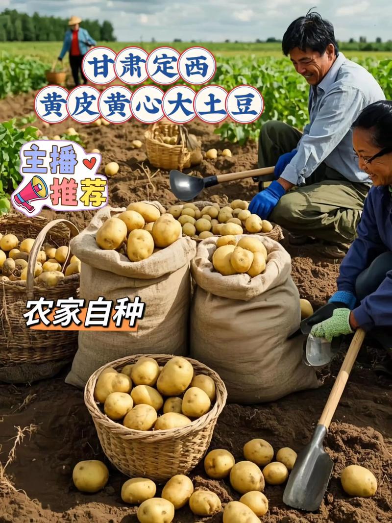 定西零售