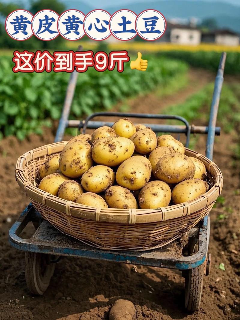 定西批发